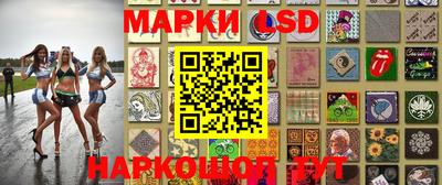 кокс Кингисепп