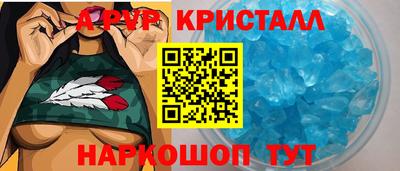 кокс Кингисепп