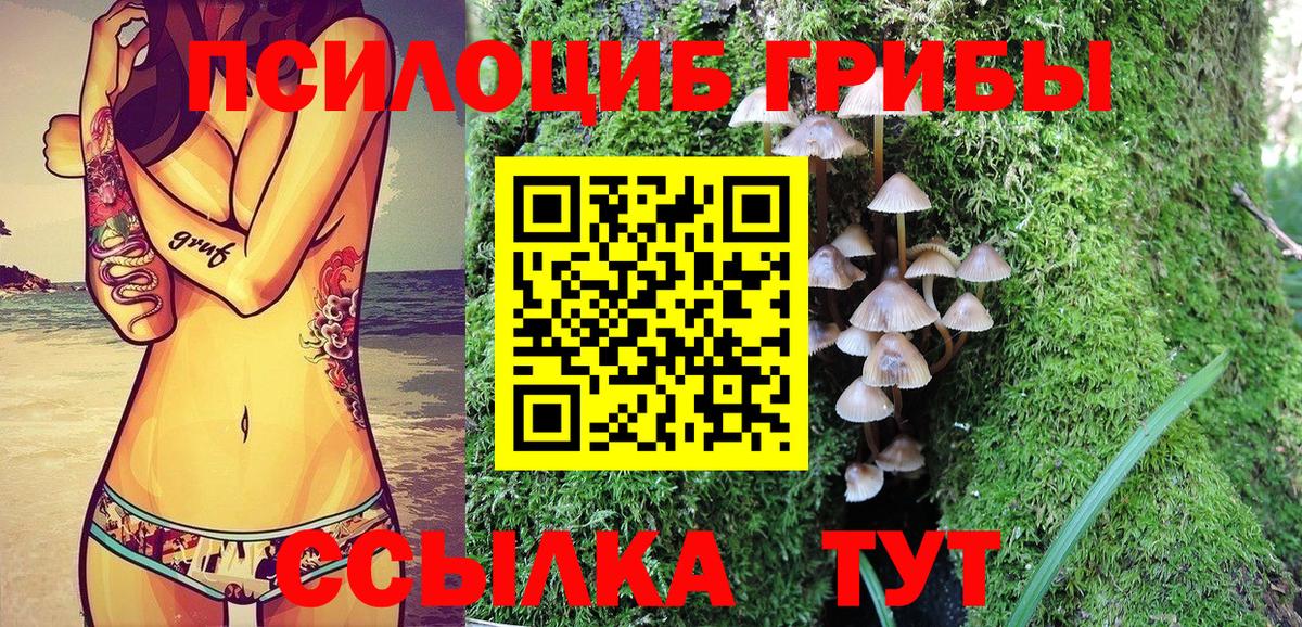 Псилоцибиновые грибы Psilocybine cubensis  Вход с VPN  Лангепас 
